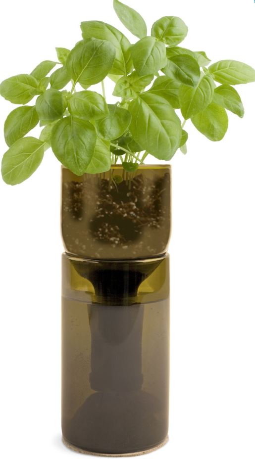 10 Easy Kitchen Herb Garden Ideas to Grow Culinary herbs