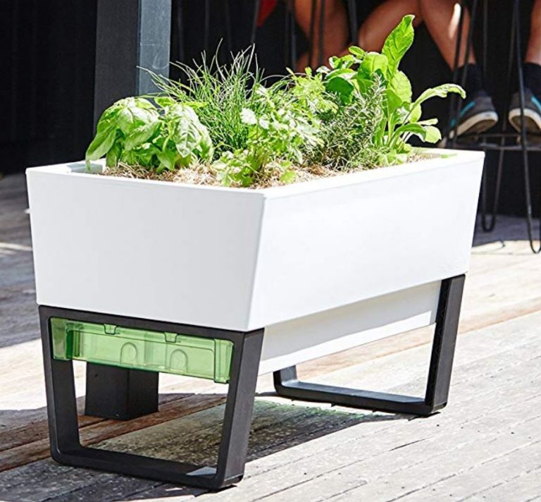 8 Automatic Plant Watering Systems To Make Herb Gardening Easier