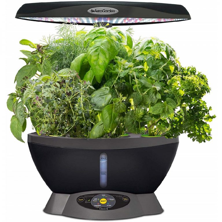 Which AeroGarden is Best? Our Reviews & Comparison of the Top Models