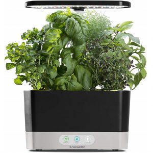 hydroponic garden