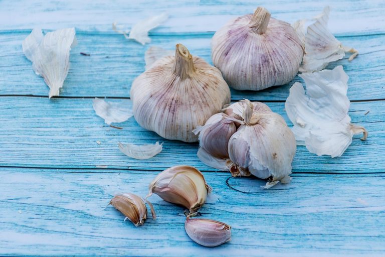 How To Harvest Garlic And Store It Fresh From The Garden