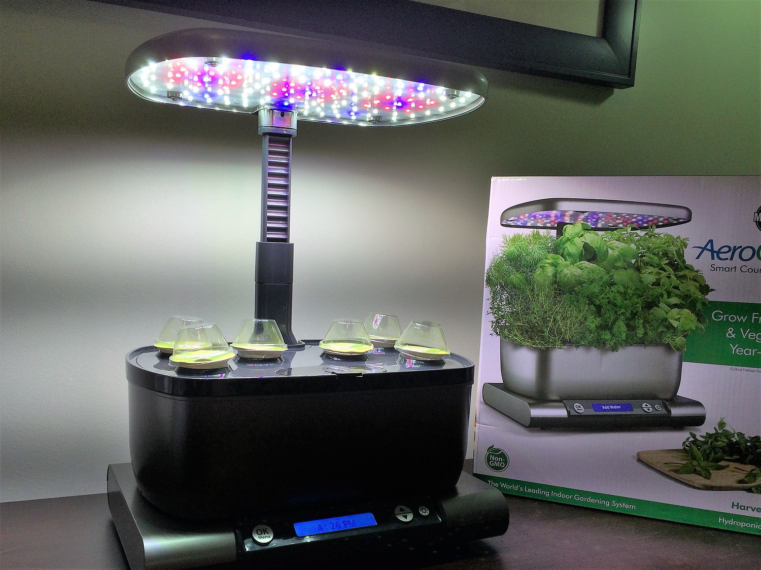 How To Clean Your Aerogarden Step By Step Instructions With Pictures