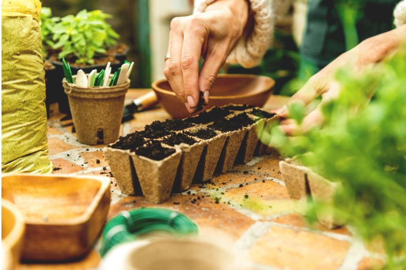 Planting seeds indoors