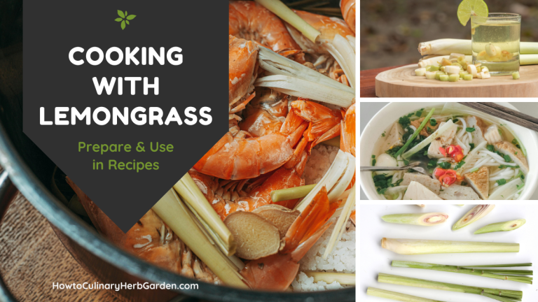 collage of using lemongrass in cooking and drink recipes