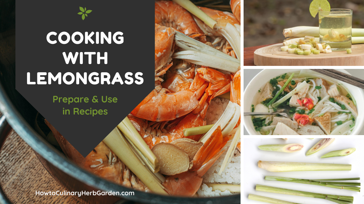 collage of using lemongrass in cooking and drink recipes