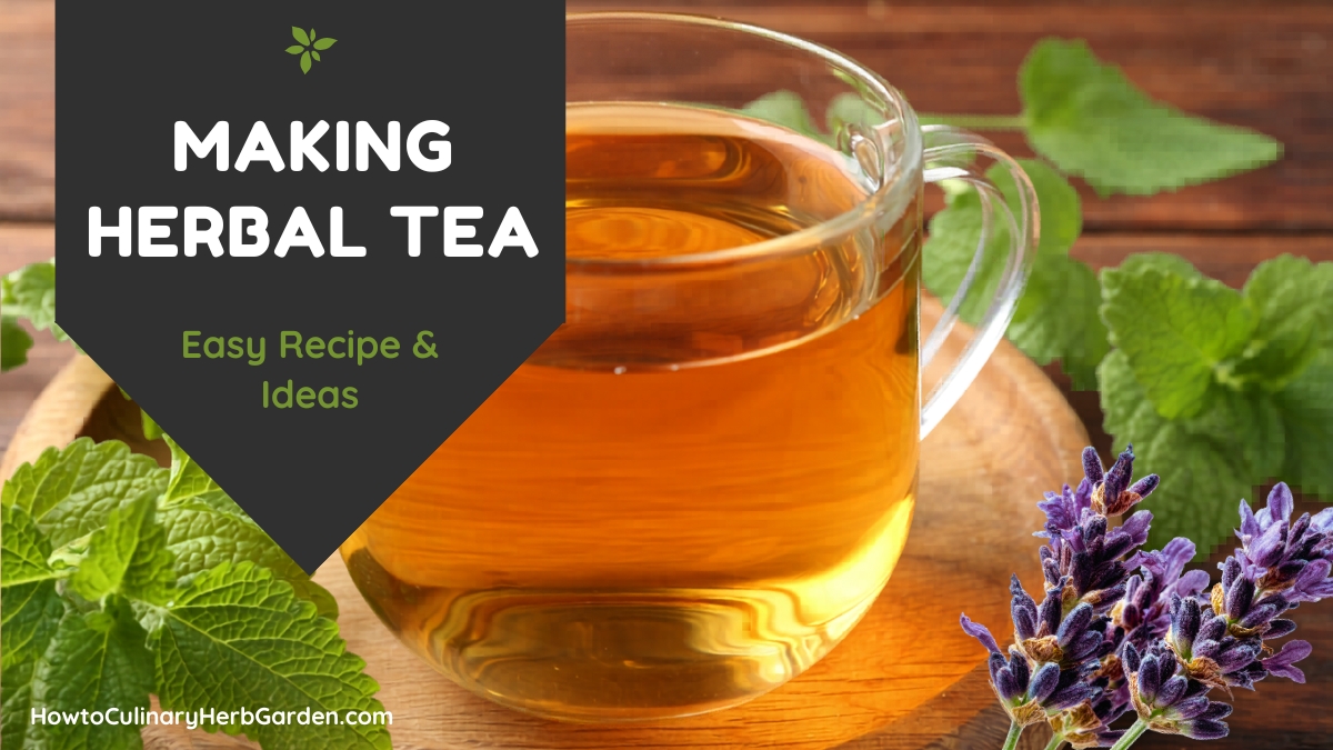 cup of tea with fresh lemon balm & lavender - Overlay - Making Herbal Tea